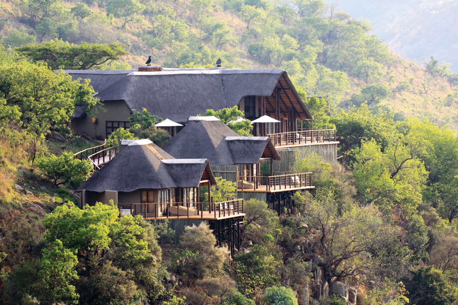 Guide du safari responsable: 5 idées pour un voyage plus durable - YONDER