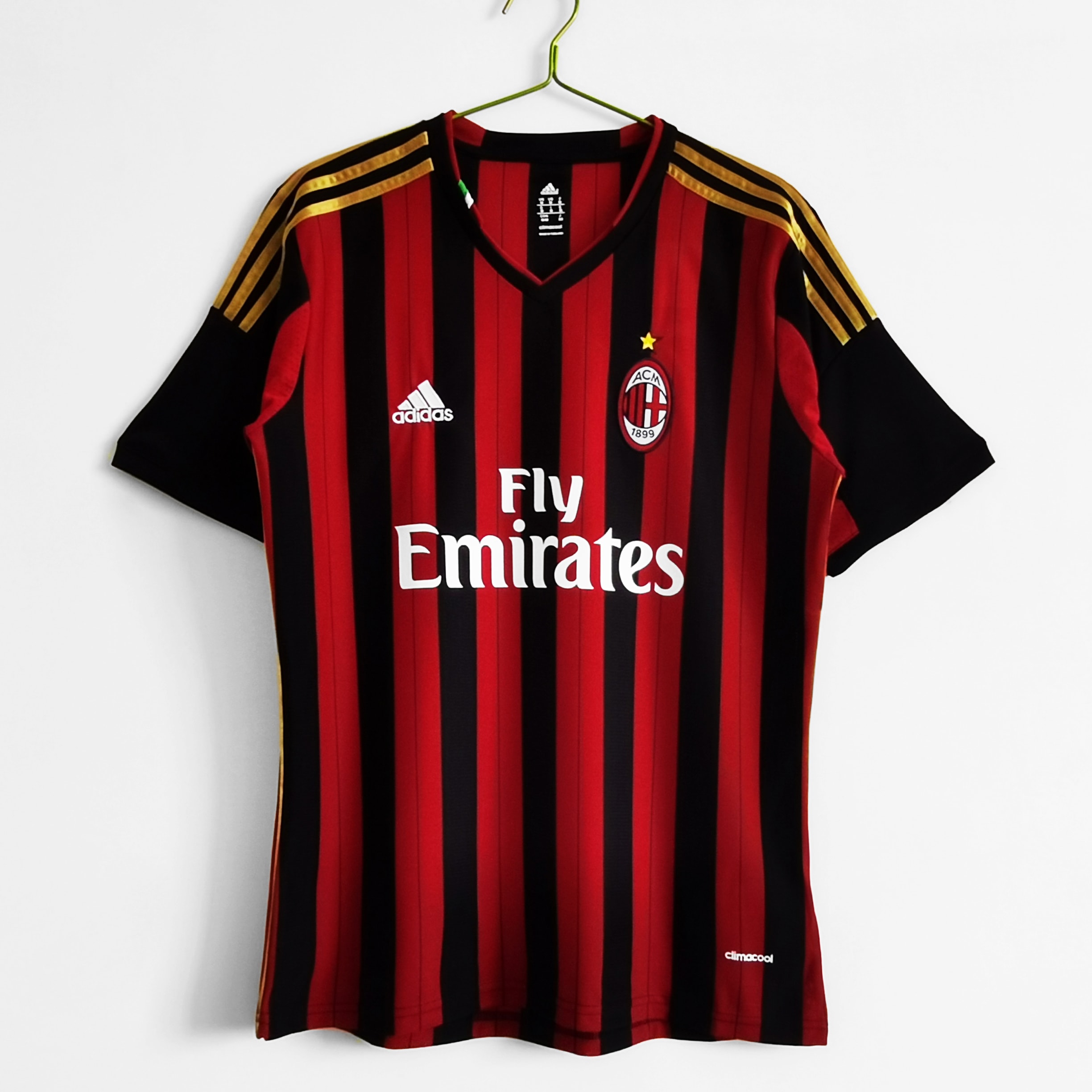 Milan 2013/14