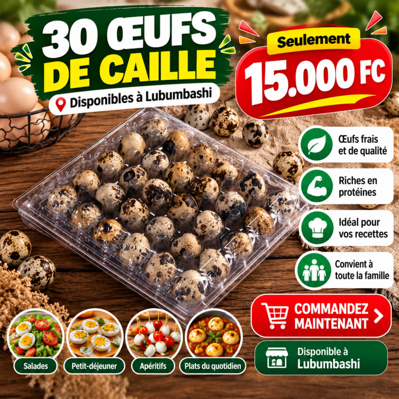 🥚 Plateau de 30 Œufs de Caille Frais – Disponibles à Lubumbashi ! 🌿✨ — photo 6 sur 6