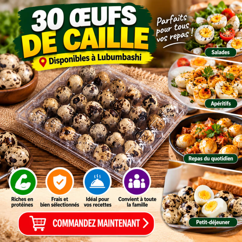 🥚 Plateau de 30 Œufs de Caille Frais – Disponibles à Lubumbashi ! 🌿✨ — photo 5 sur 6