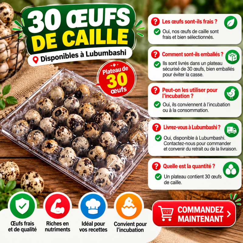 🥚 Plateau de 30 Œufs de Caille Frais – Disponibles à Lubumbashi ! 🌿✨ — photo 3 sur 6