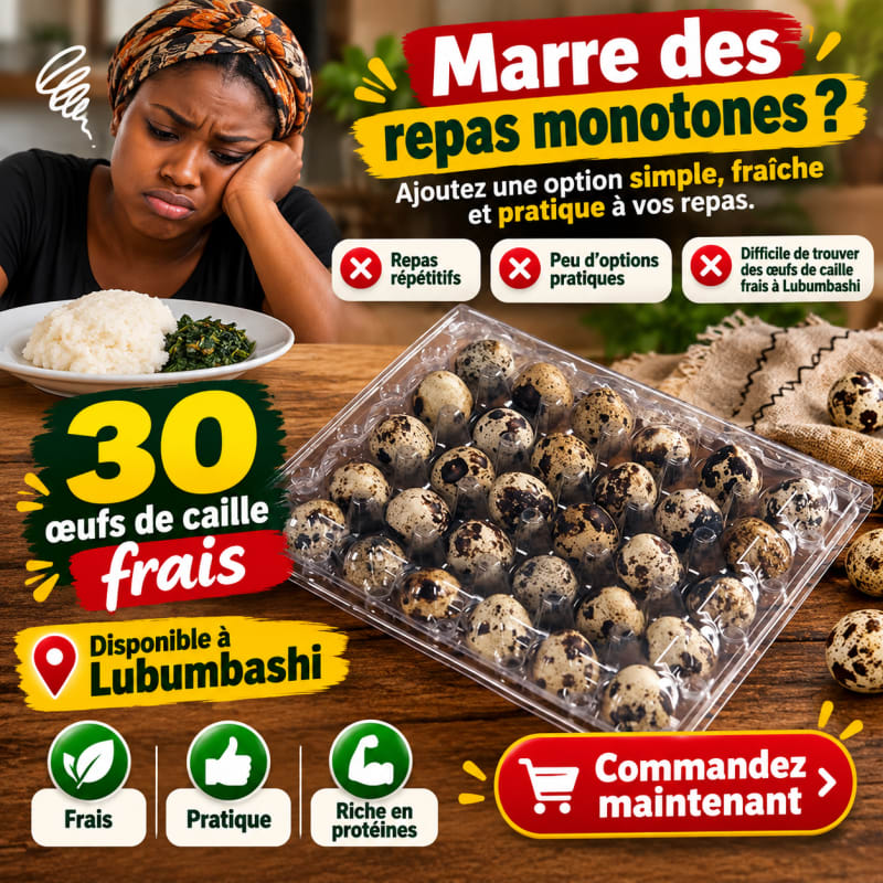 🥚 Plateau de 30 Œufs de Caille Frais – Disponibles à Lubumbashi ! 🌿✨ — photo 4 sur 6