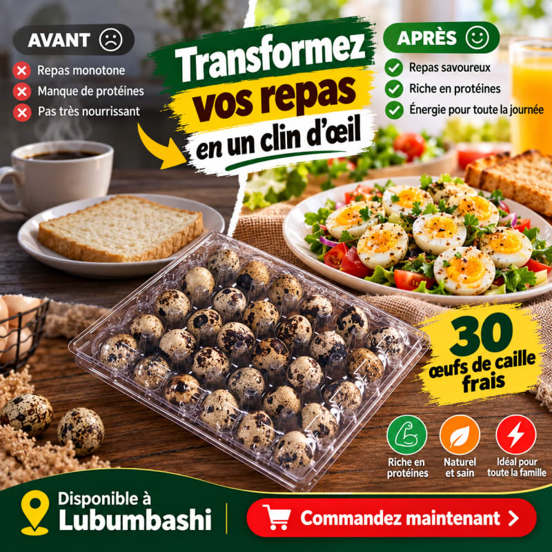🥚 Plateau de 30 Œufs de Caille Frais – Disponibles à Lubumbashi ! 🌿✨ — photo 1 sur 6