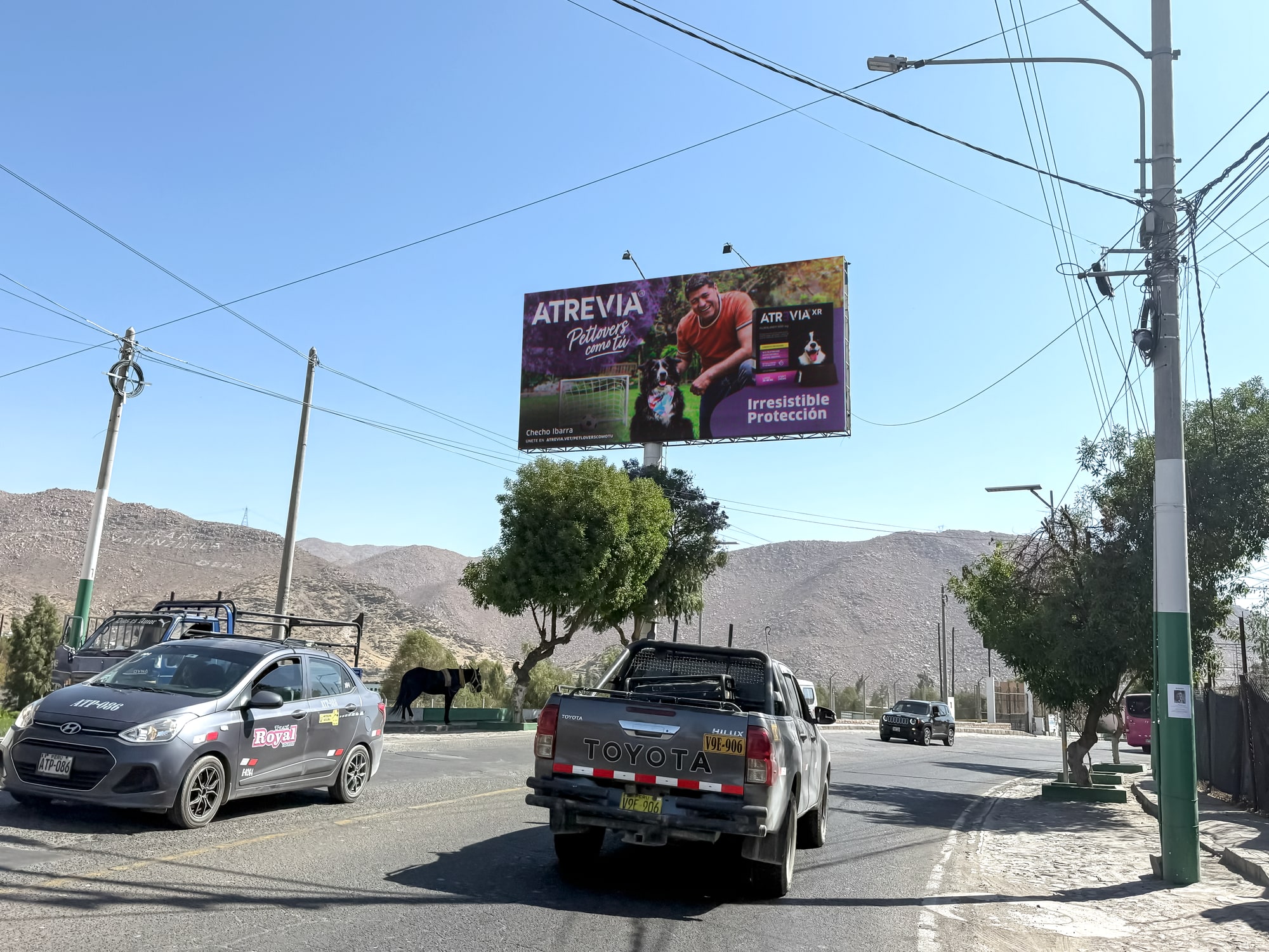 Panel publicitario en ARQ-016 A