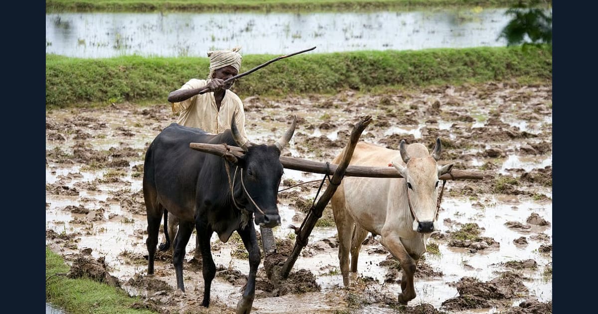 कृषि में आर्टिफिशियल इंटेलिजेंस