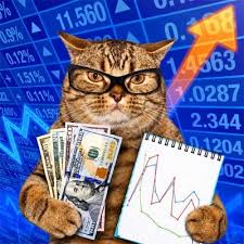 QCAT
