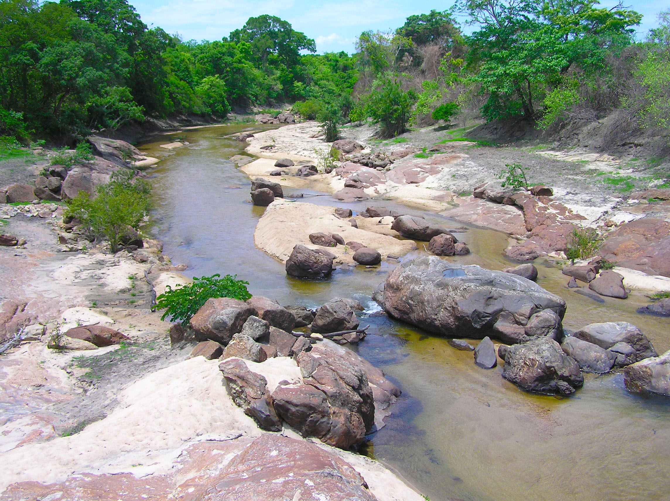 Estudos de Impacto Ambiental (EIA)