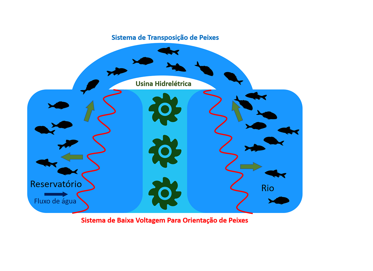 Sistema de Baixa Voltagem Para Orientação de Peixes