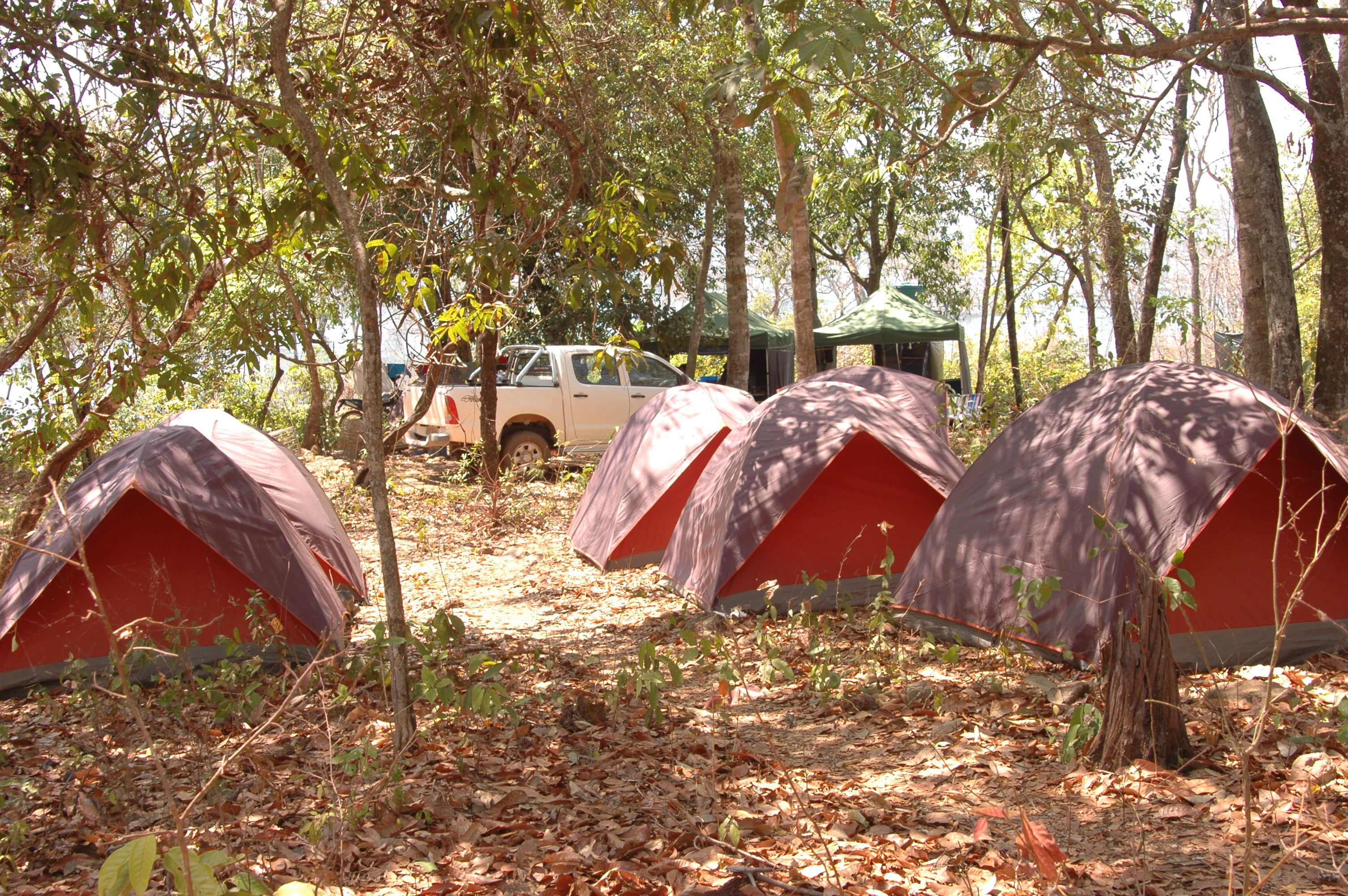 Gestão Ambiental