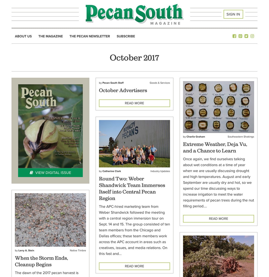 pecan-south-sample-issue.jpg