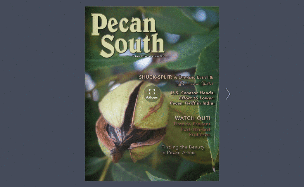 PecanSouthFlipBook.gif