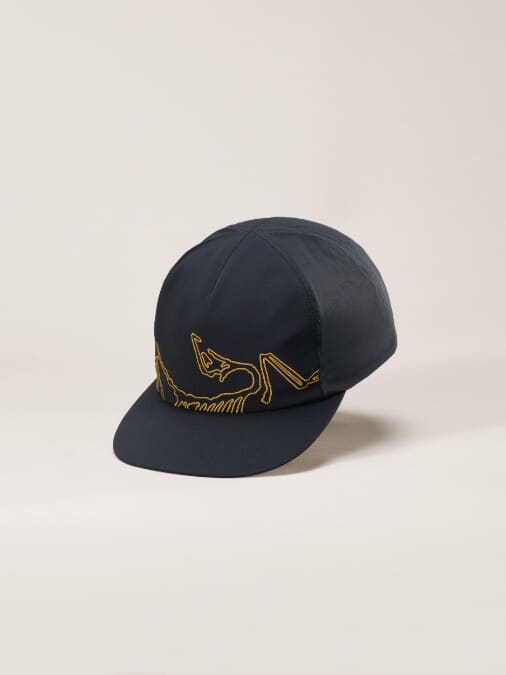 Arc'teryx-Silex Cap