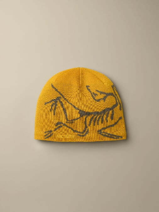 Arc'teryx-Bird Head Toque