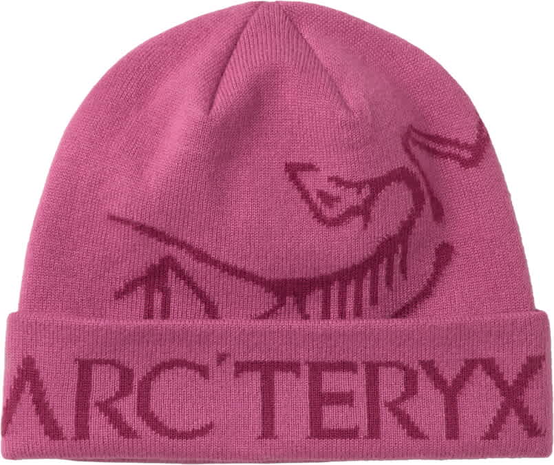 Arc'teryx-Bird Word Toque