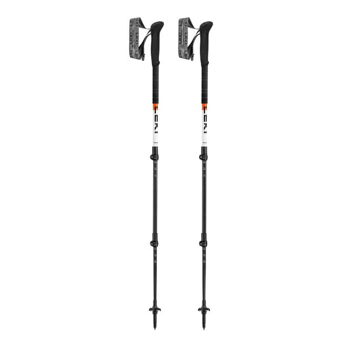 Leki-Skysolo Poles