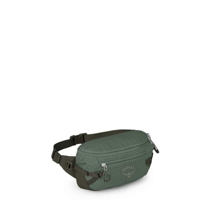 Osprey-Transporter Waist