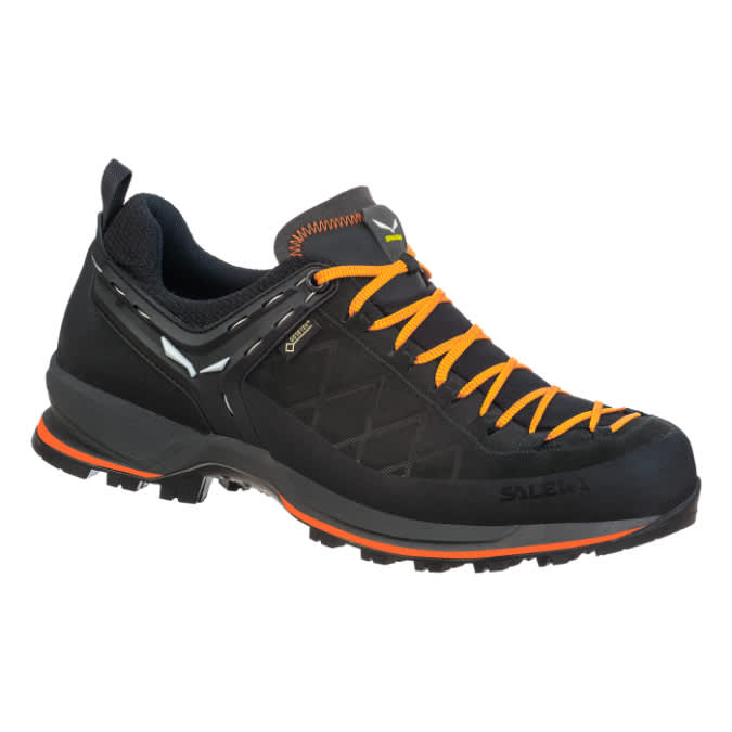 Salewa-Mountain Trainer 2 GTX - Men's