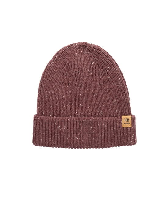 tentree-Bristow Nep Beanie
