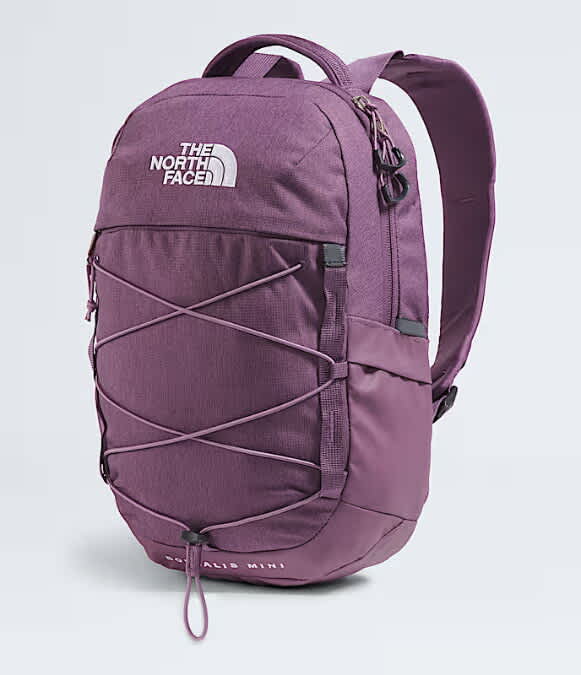 The North Face-Borealis Mini Backpack