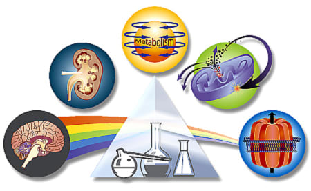 54 Hour Online Pharmacology Course