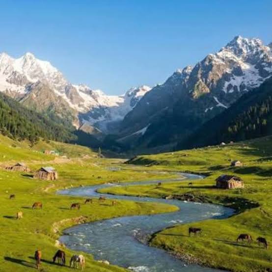 Gurez Valley Tour