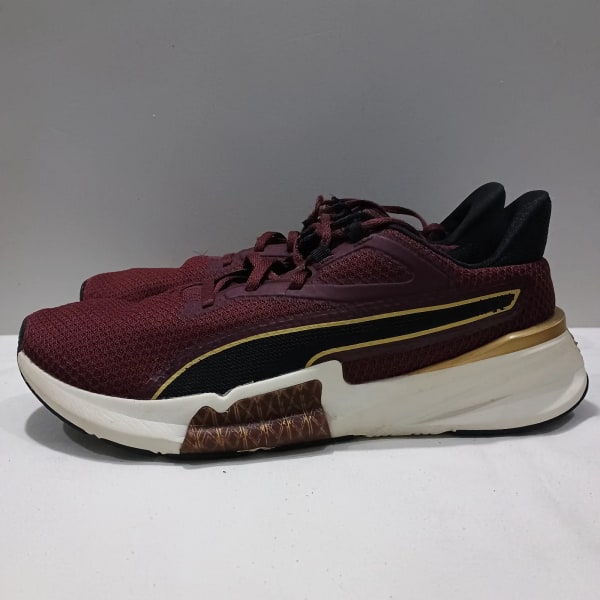 Puma Frame