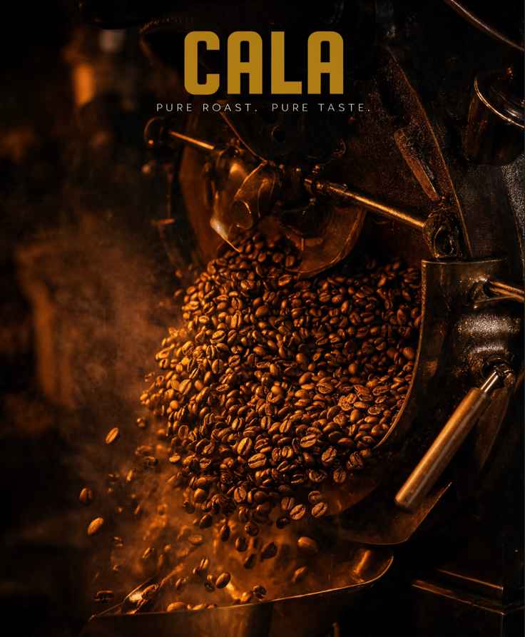 CALA có nghĩa gì? Câu chuyện phía sau tên thương hiệu