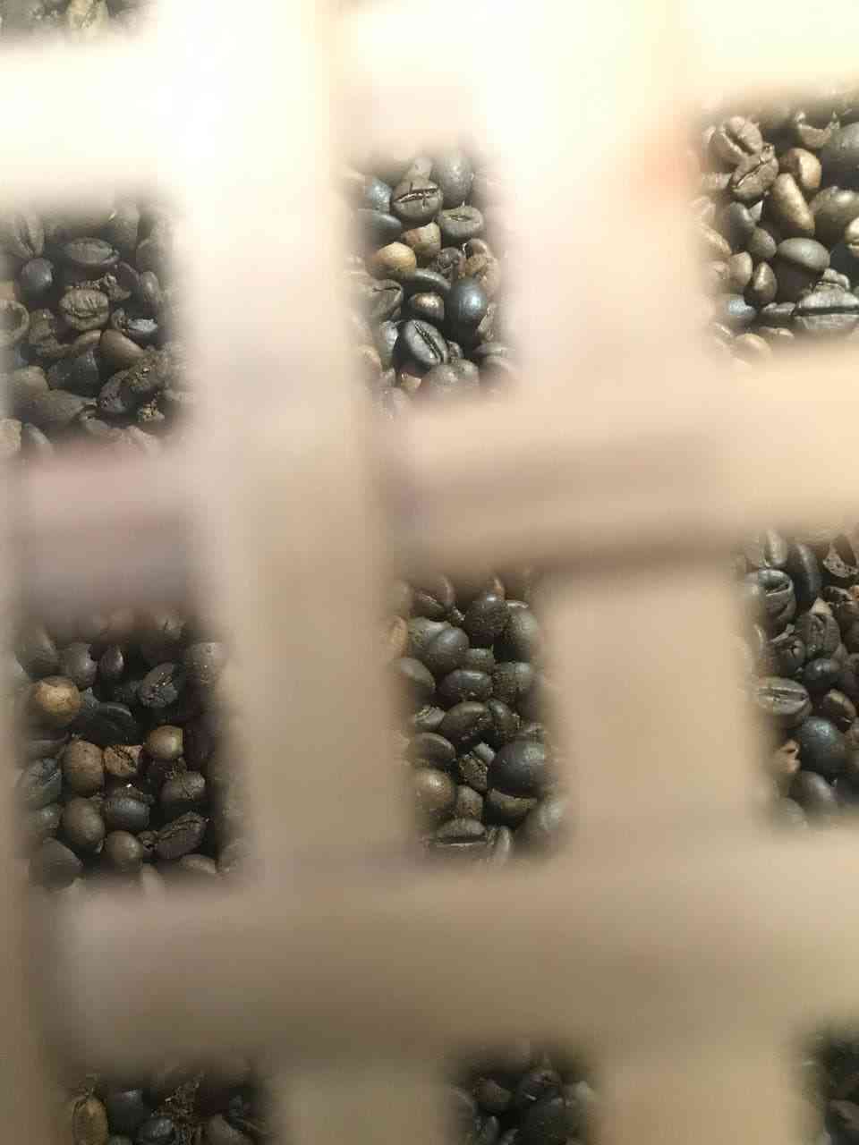 Hạt cà phê rang nhìn xuyên qua các ô/lỗ của một bề mặt lưới.