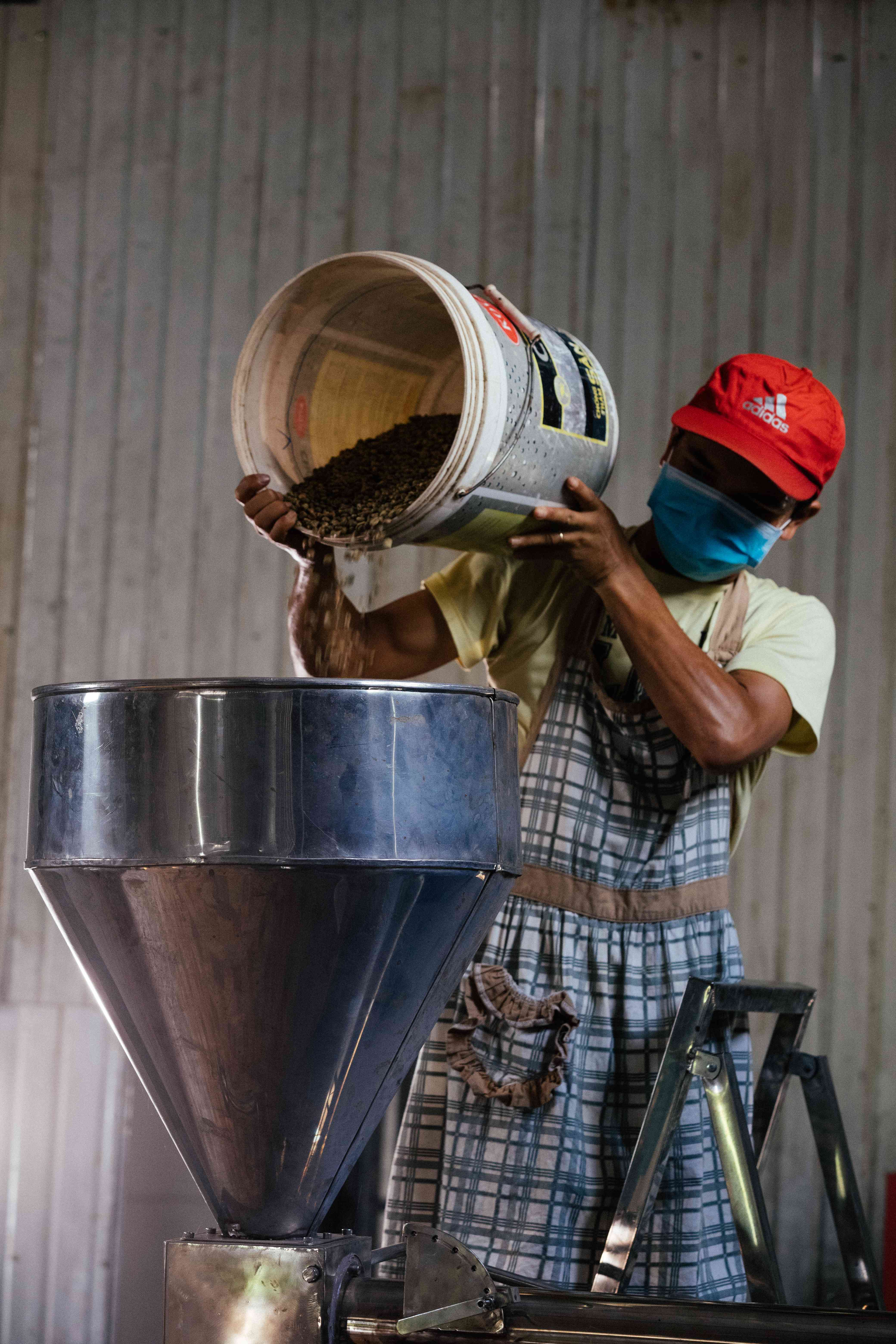 Công nhân đổ hạt cà phê nguyên liệu vào phễu máy