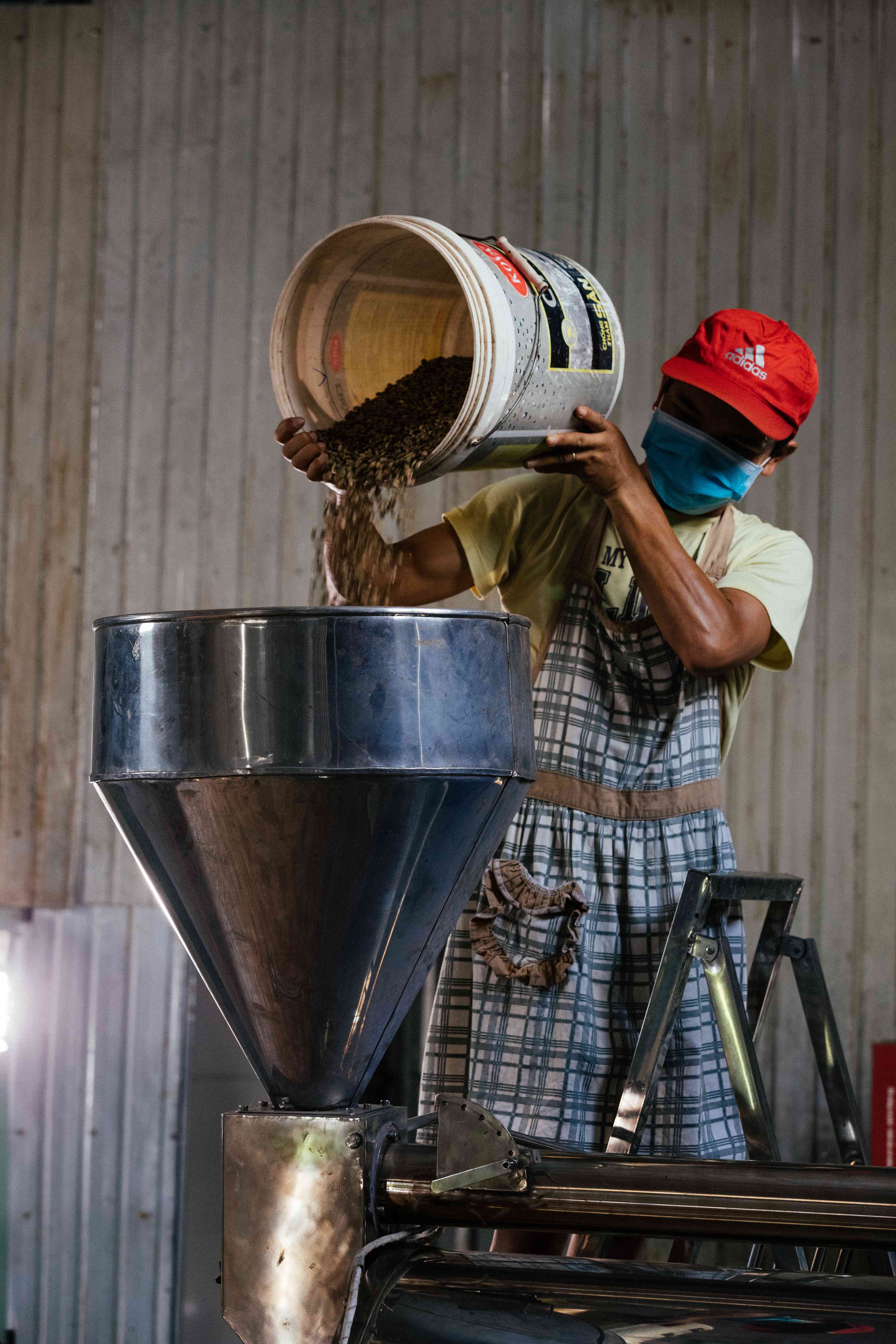 Công nhân đổ hạt từ thùng lớn vào phễu máy, toàn cảnh thấy cả người và thiết bị.