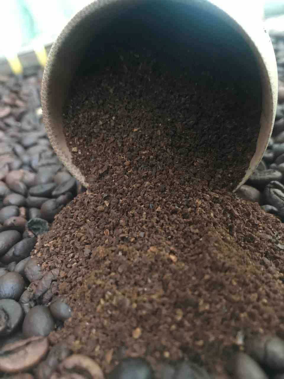Bột cà phê xay đổ ra từ cốc/ống trên nền nhiều hạt cà phê rang.