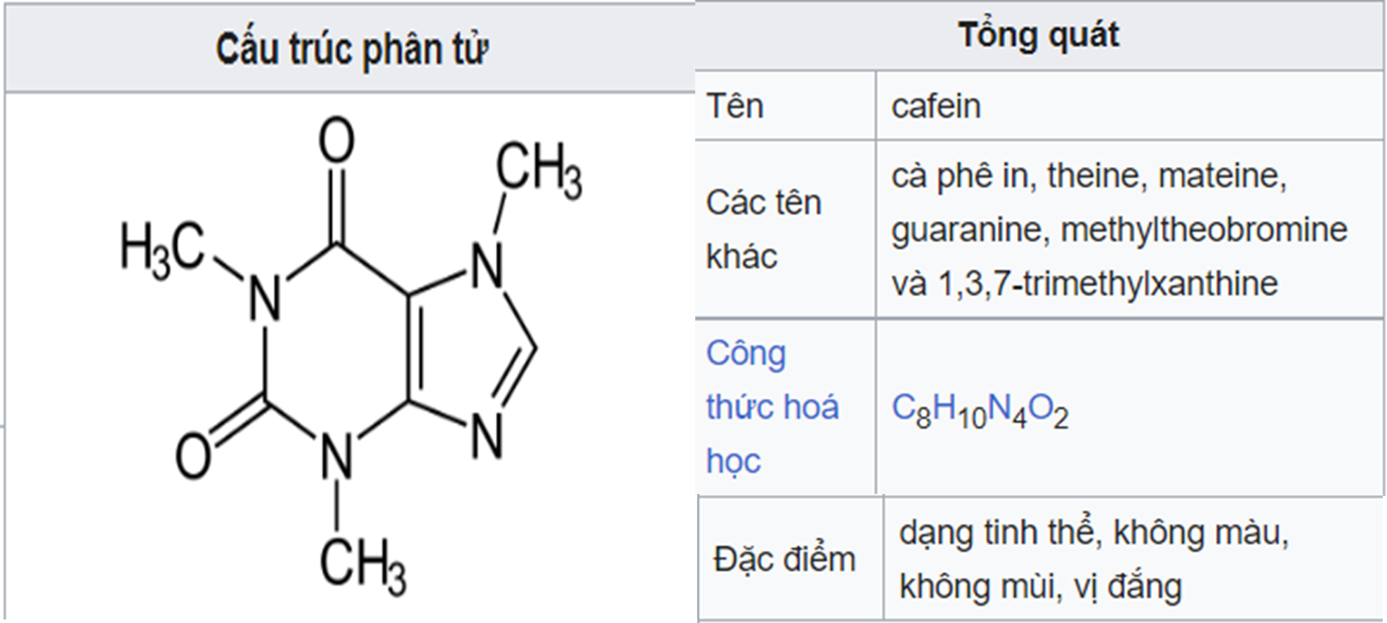 Infographic tiếng Việt về caffeine: cấu trúc phân tử, tên gọi khác, công thức C8H10N4O2 và đặc điểm.