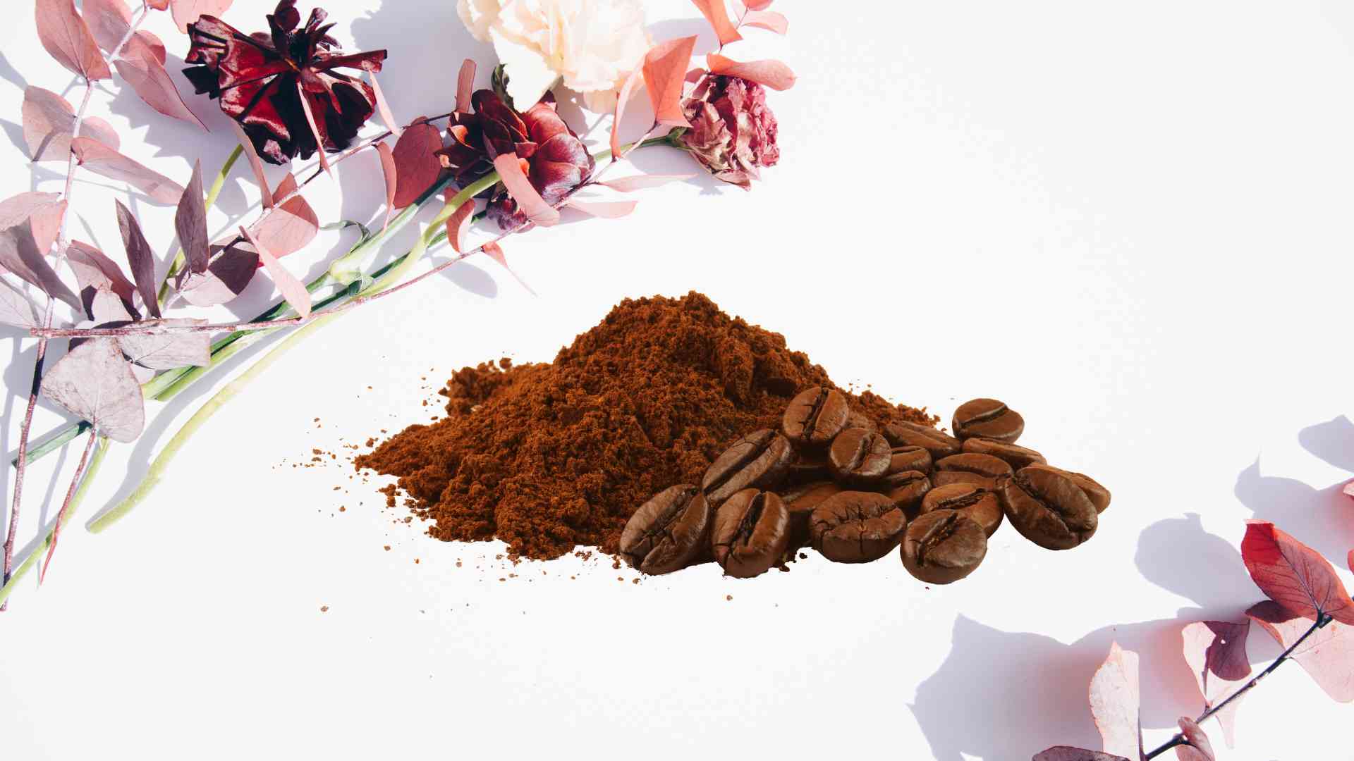 Vì sao An Khương chọn “Vị Nguyên Bản” làm điểm nhấn