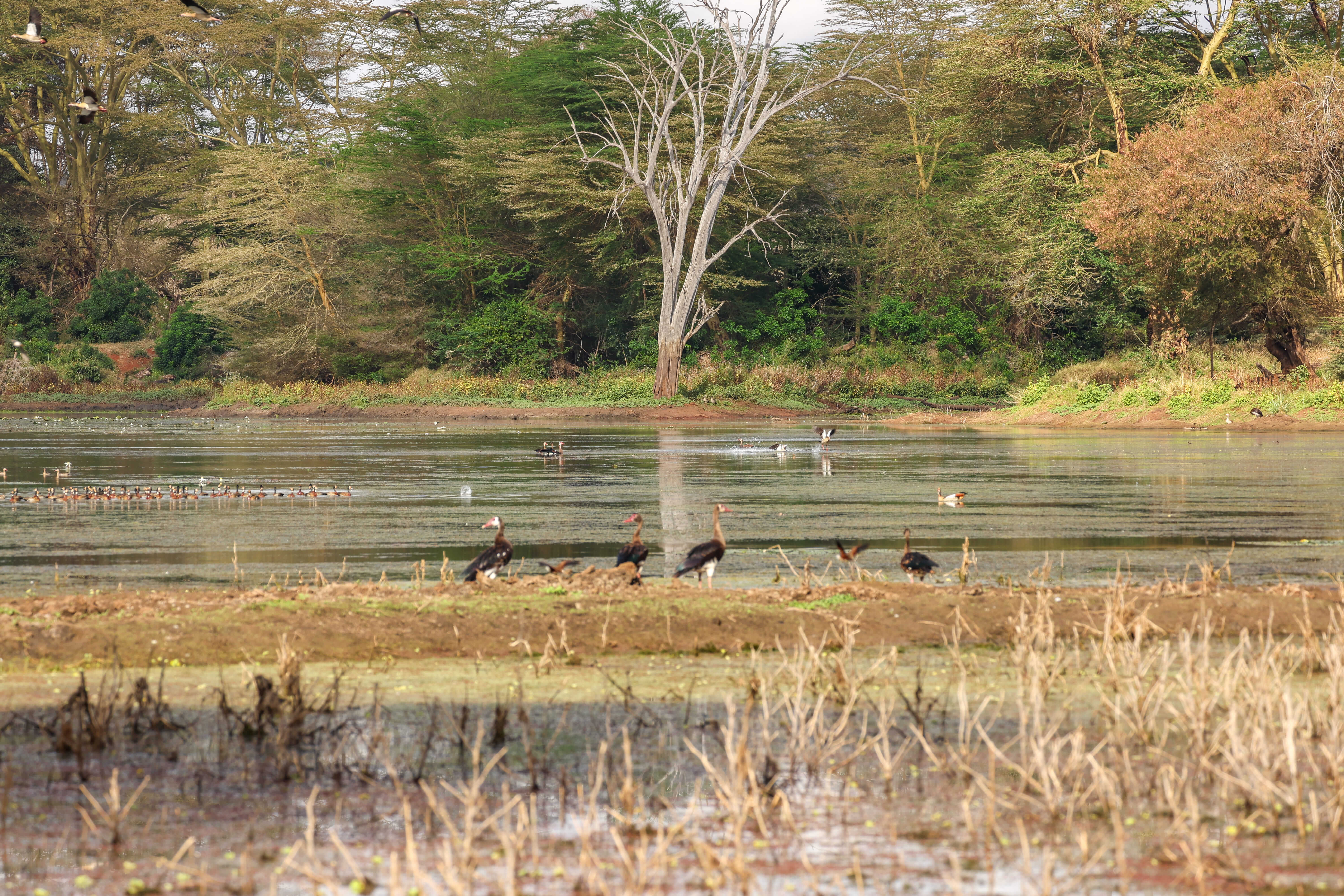 Bura Dam in Taita Hills Conservancy.jpg