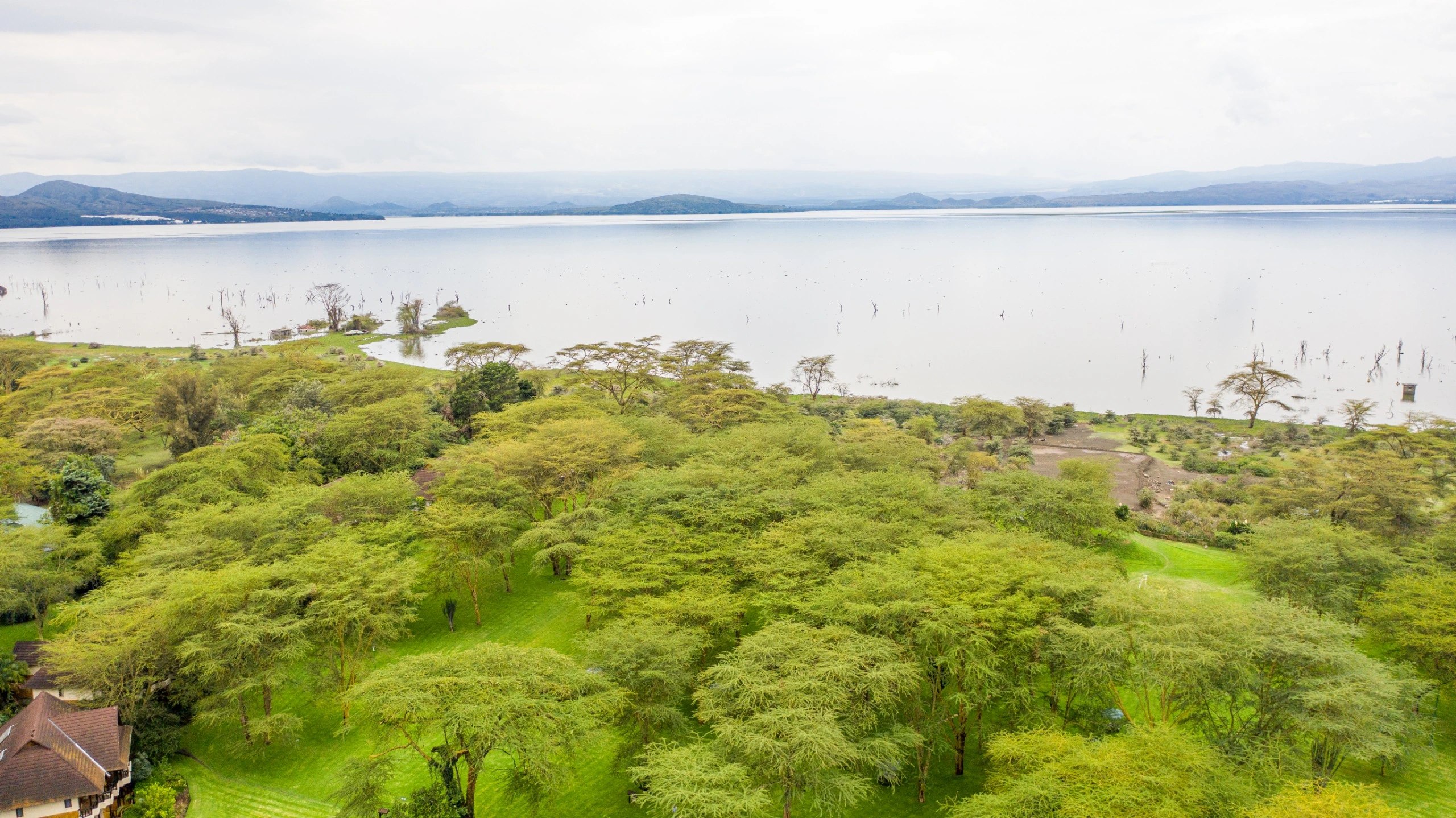 Lake Naivasha Day Trip From Nairobi