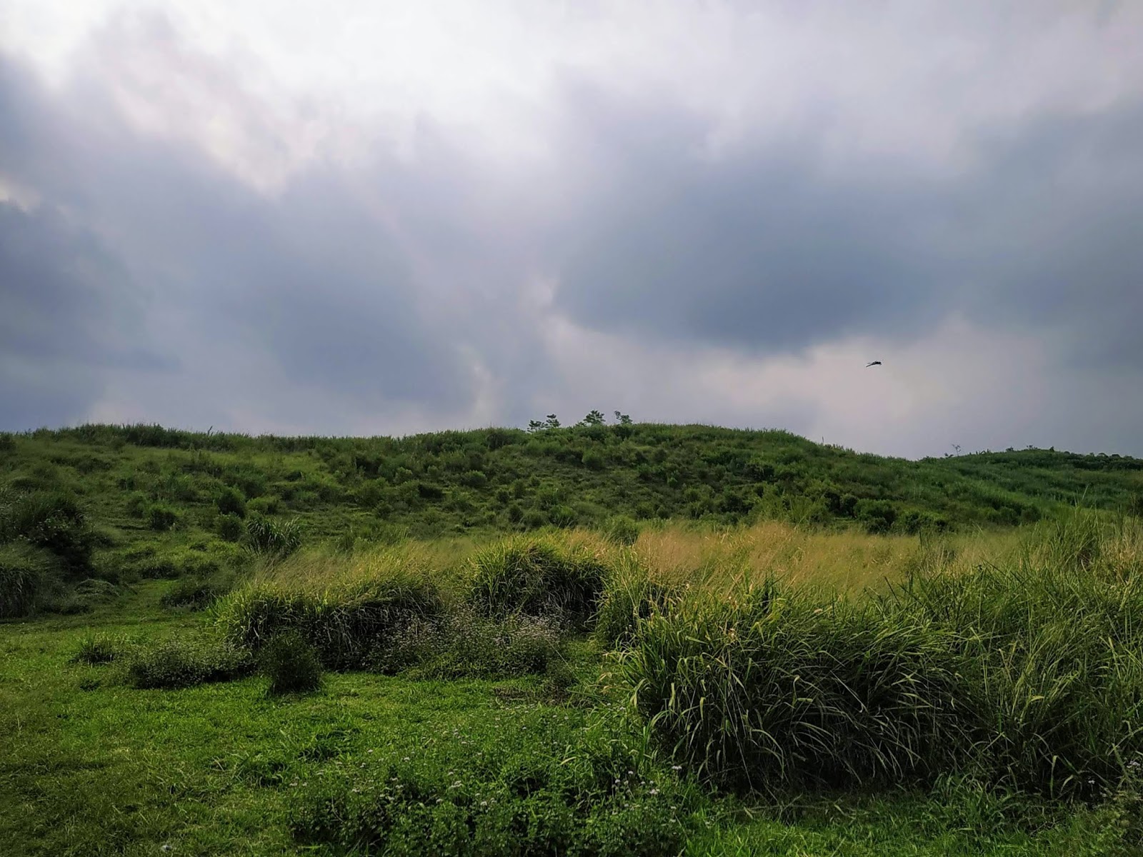 Bentangan Padang Rumput - 14.34 24-08-19