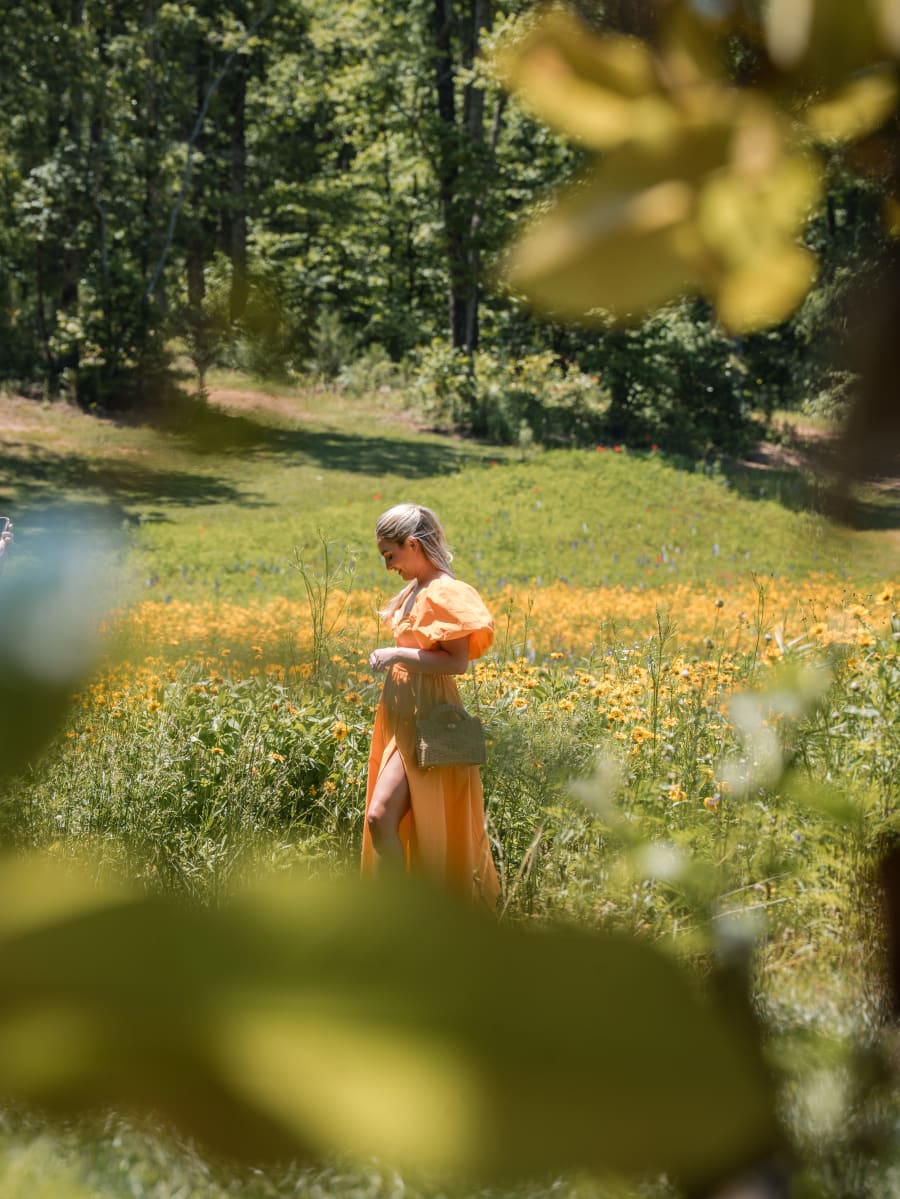 Hartley alone in the wildflower meadow, moments before