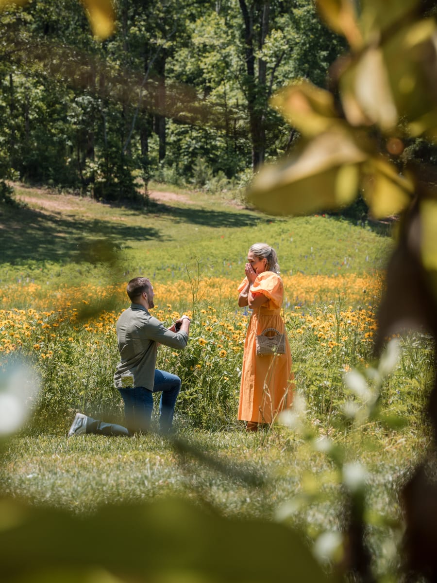JP dropping to one knee in the meadow