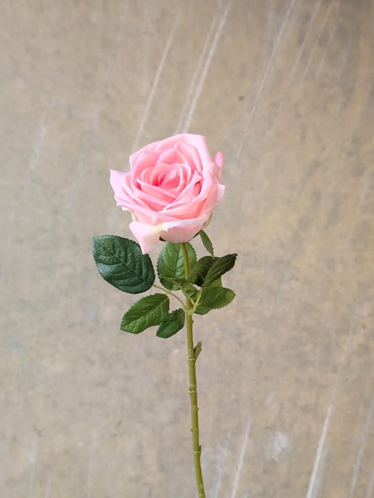 Real Touch Light Pink