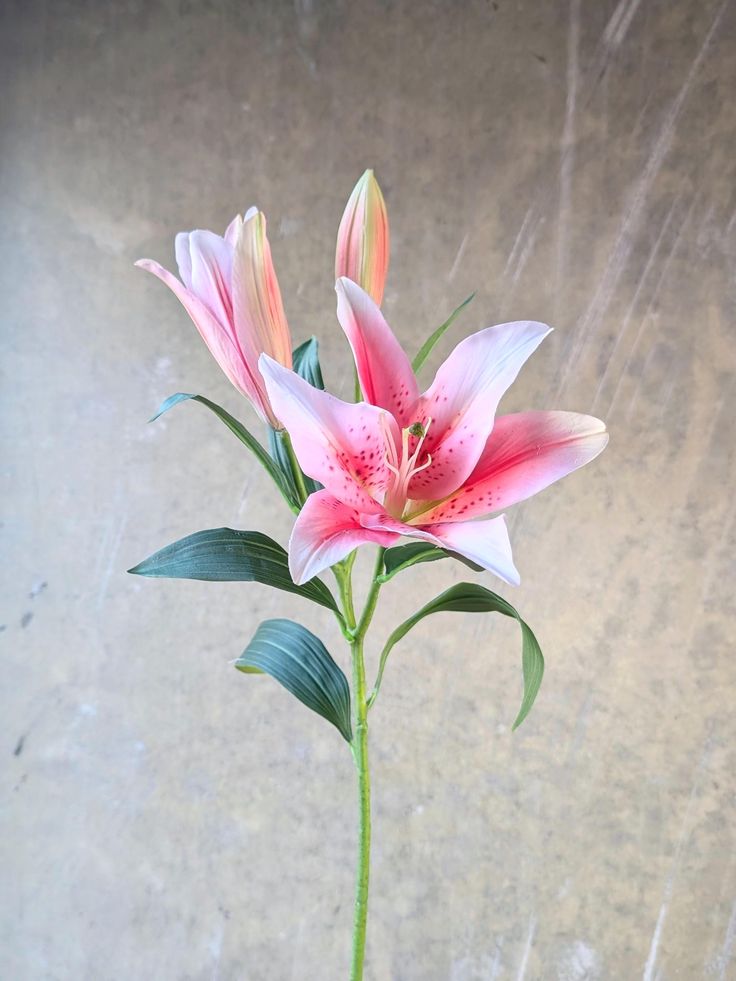 Real Touch Pink Lily