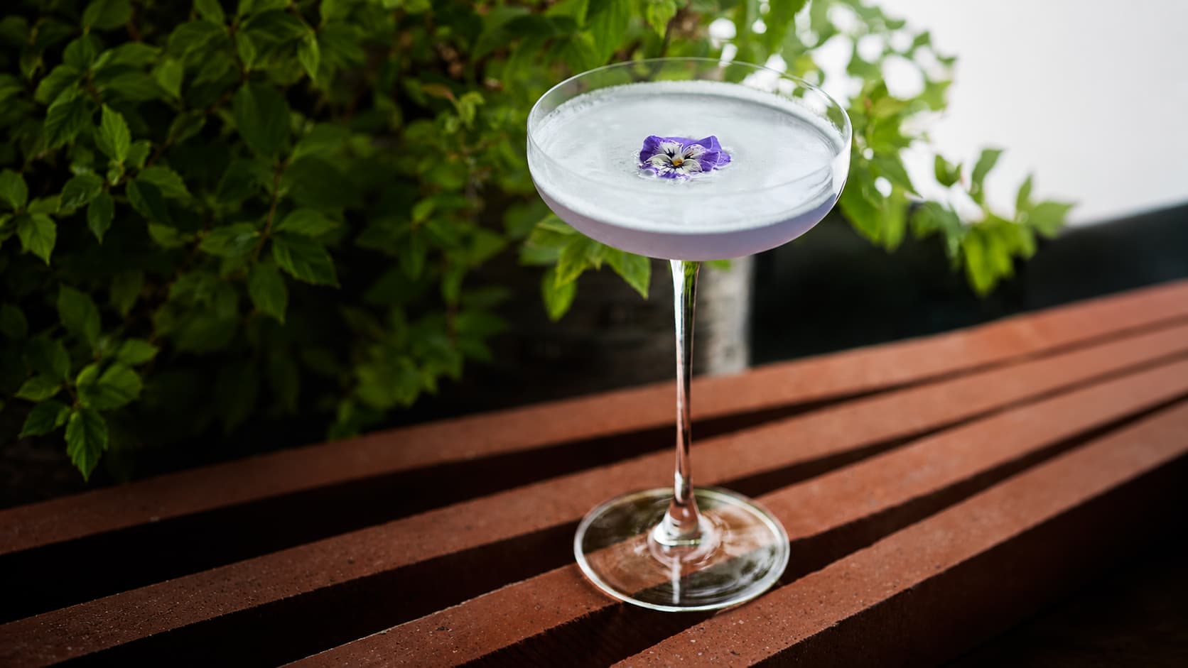 The Violet
