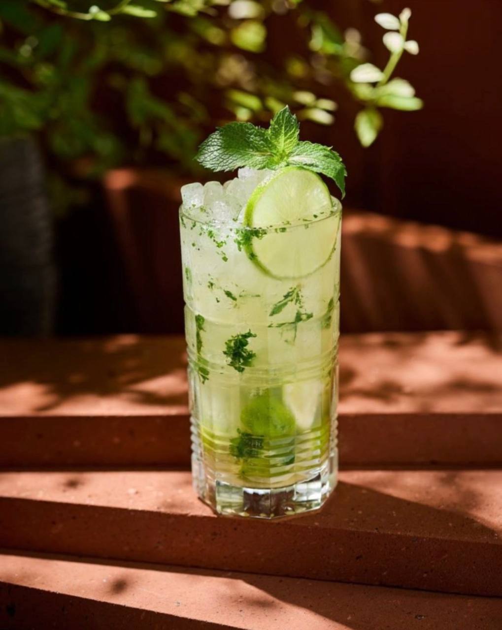 Mojito
