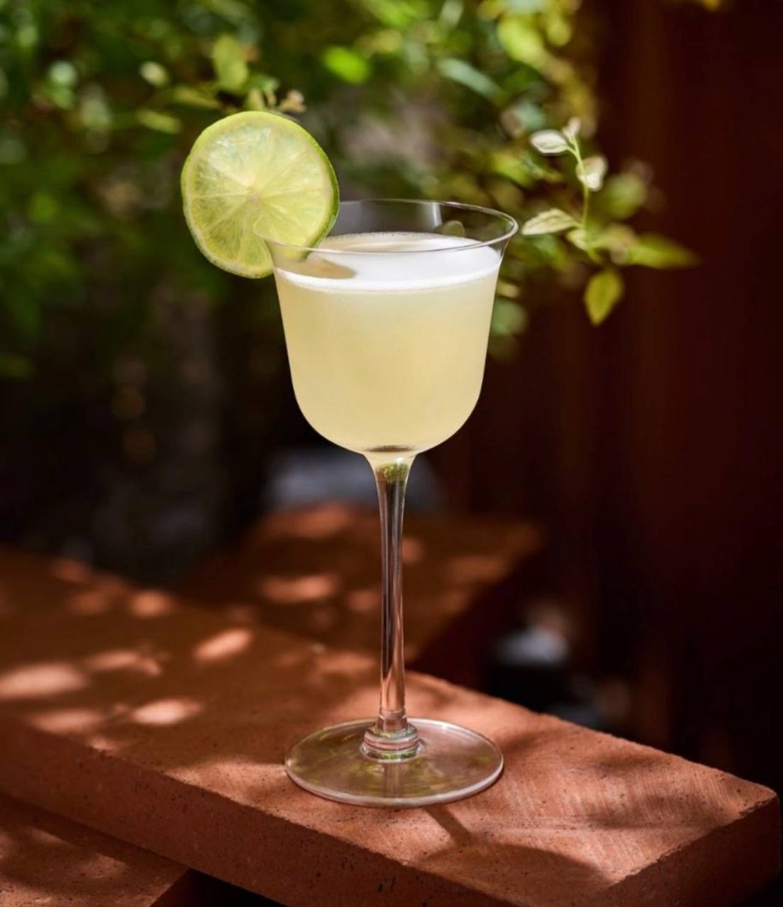 Daiquiri