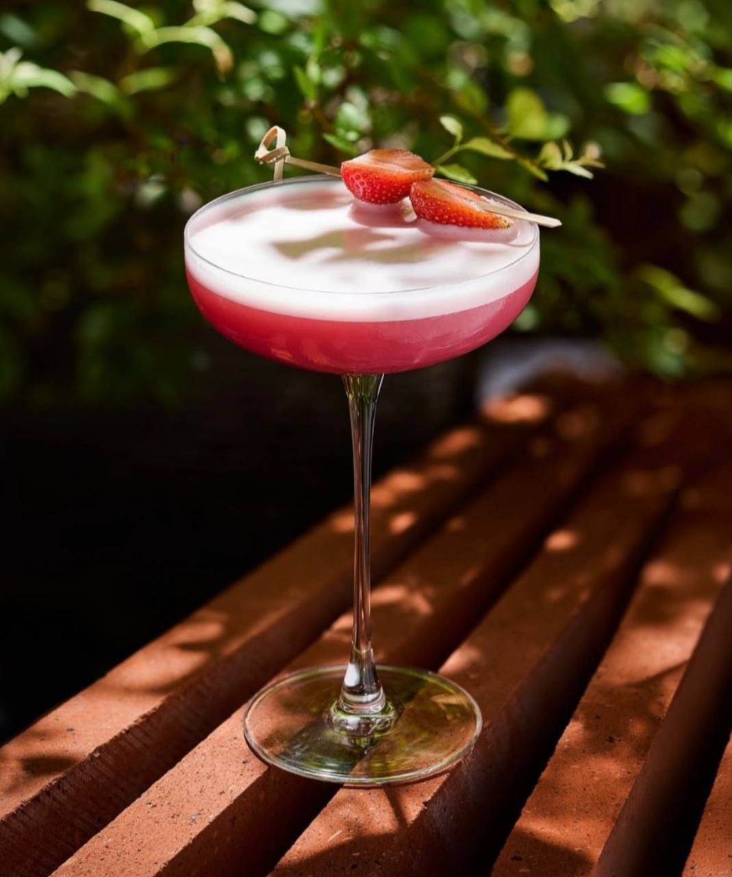 Clover Club