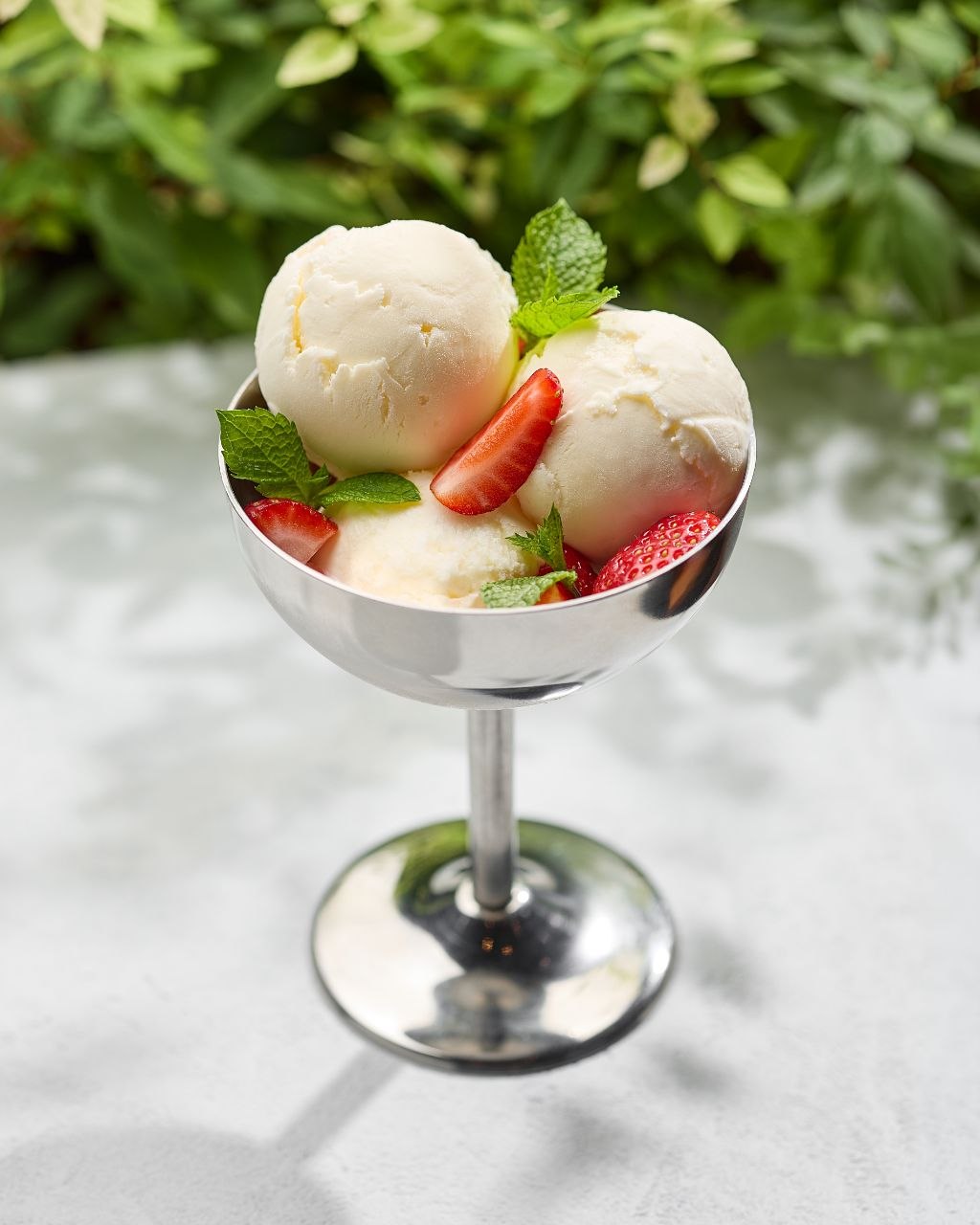 Vanilla Ice Cream