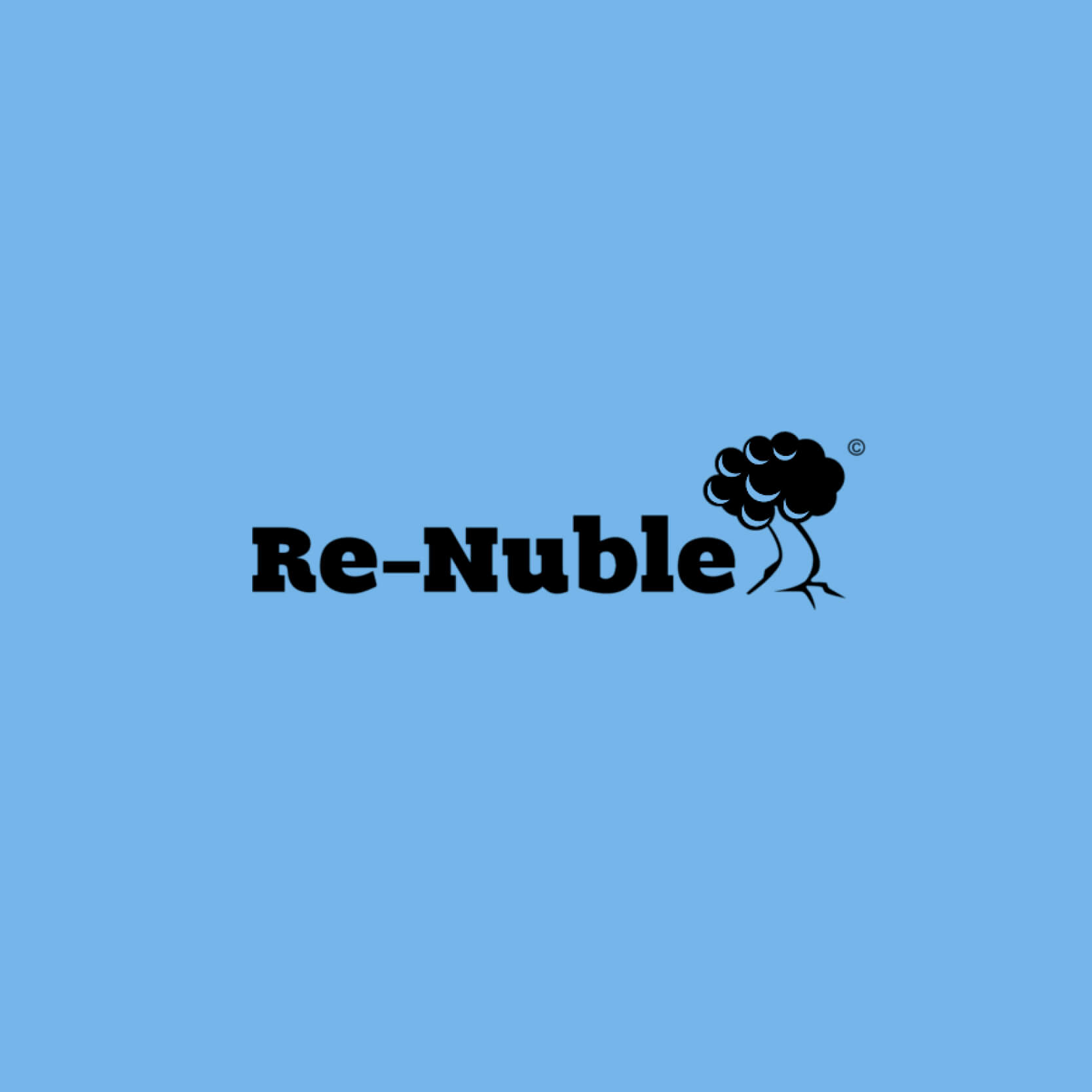 Re-Nuble Logo