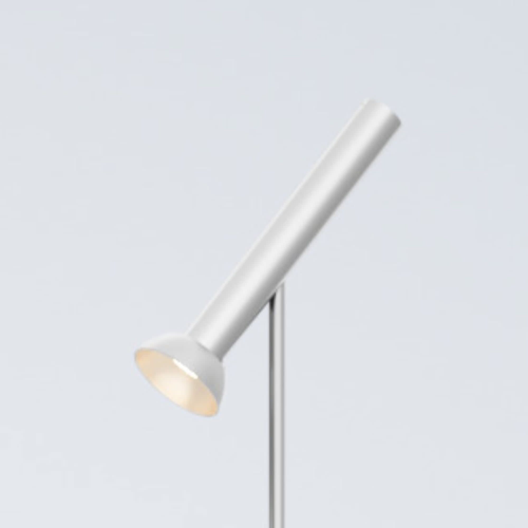 Wohnidee Luzern Baltensweiler TOPOLED T Variantenbild 1