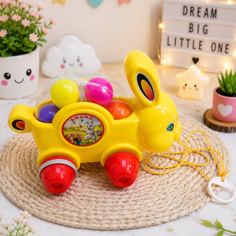 Bunny Roll & Rattle Pull Along Toy