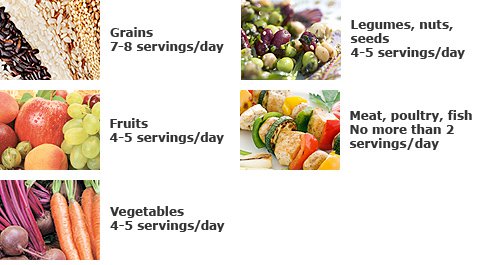 Menu Makan Program Diet Sehat Dash