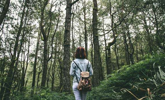 Wanita memakai tas cokelat bimbang berjalan di hutan